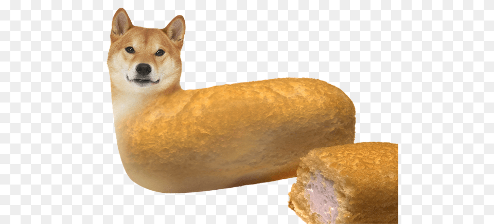 Shiba Inu, Bread, Food, Bun, Animal Png Image