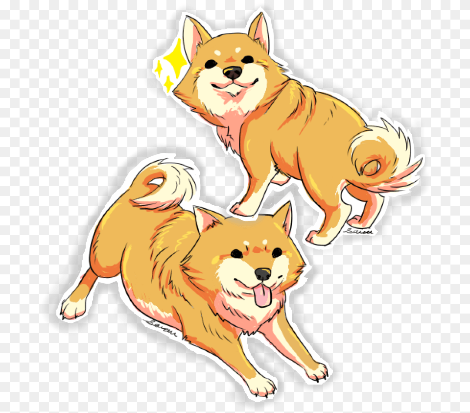 Shiba Inu, Baby, Person, Animal, Canine Png