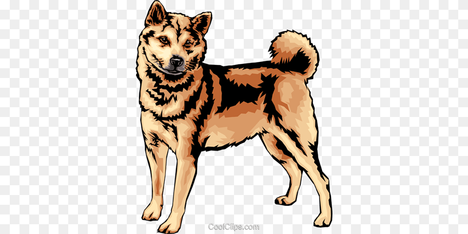 Shiba Inu Royalty Vector Clip Art Illustration, Animal, Canine, Dog, Husky Free Png Download