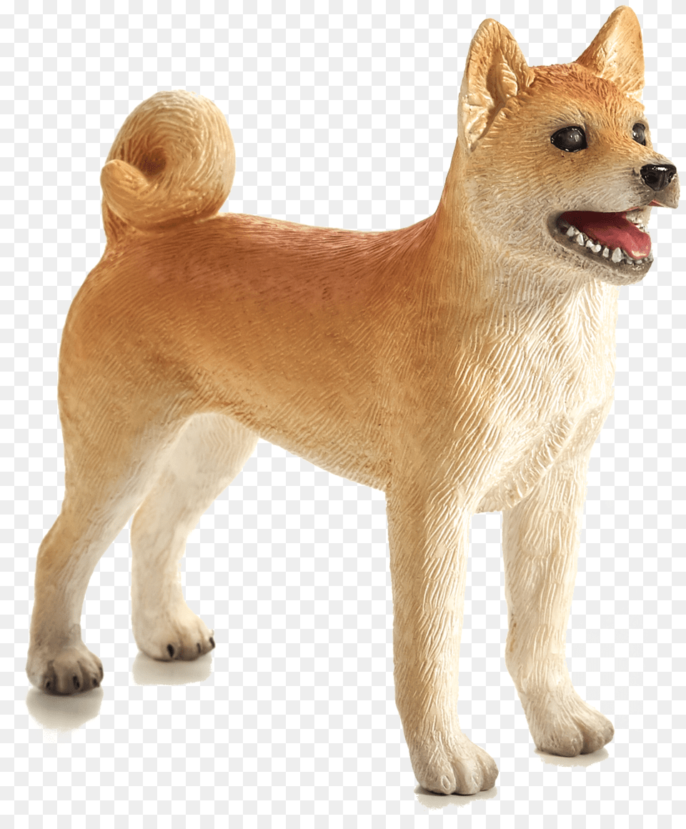 Shiba Inu Transparent, Animal, Canine, Dog, Mammal Free Png