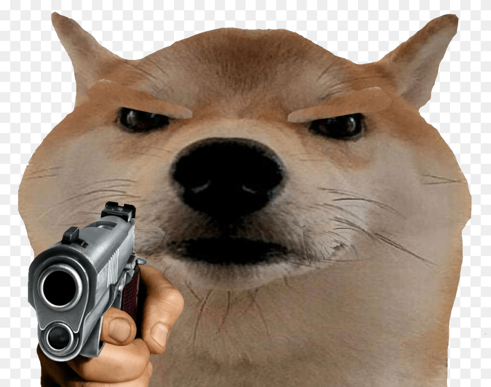 Shiba Inu Vertebrate Mammal Canidae Dog Head Snout Dog With Gun Meme, Firearm, Handgun, Weapon, Animal Free Png