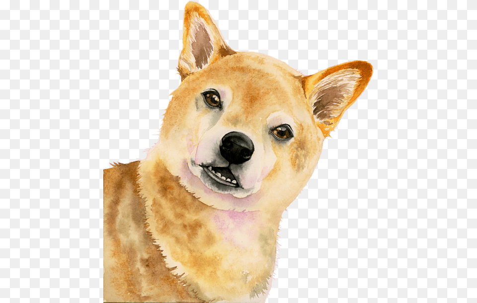 Shiba Watercolor, Animal, Canine, Dog, Husky Png