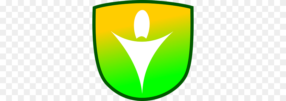 Shield Disk Free Png Download