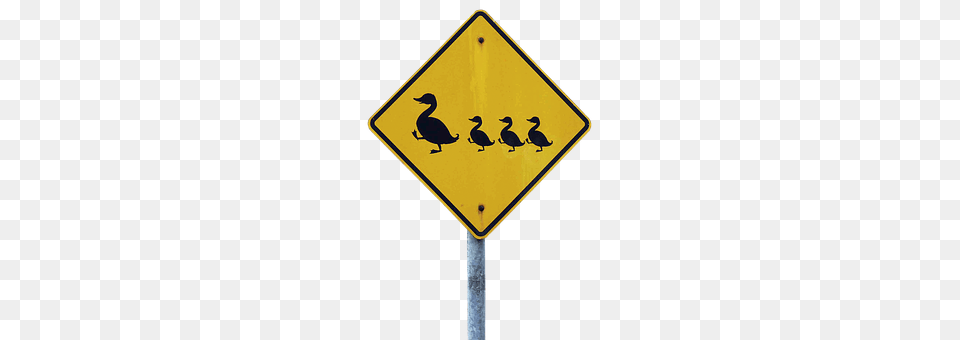 Shield Sign, Symbol, Road Sign, Animal Free Transparent Png