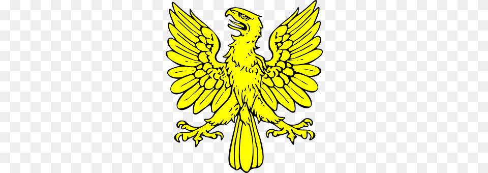 Shield Emblem, Symbol, Person Png