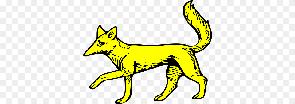Shield Animal, Coyote, Mammal, Canine Free Transparent Png