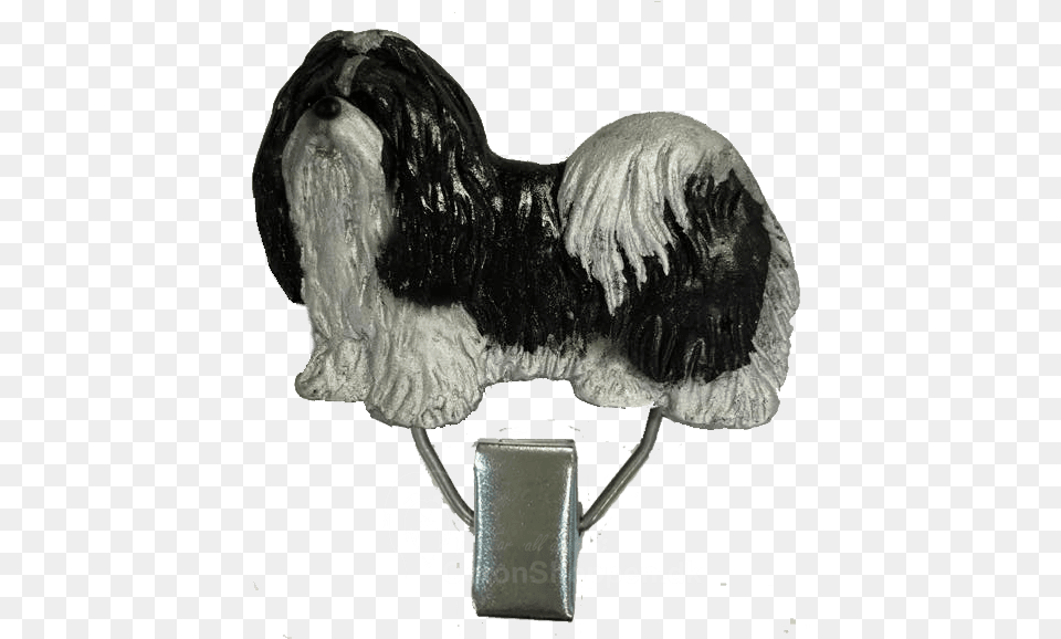 Shih Tzu, Accessories, Animal, Bird Png Image