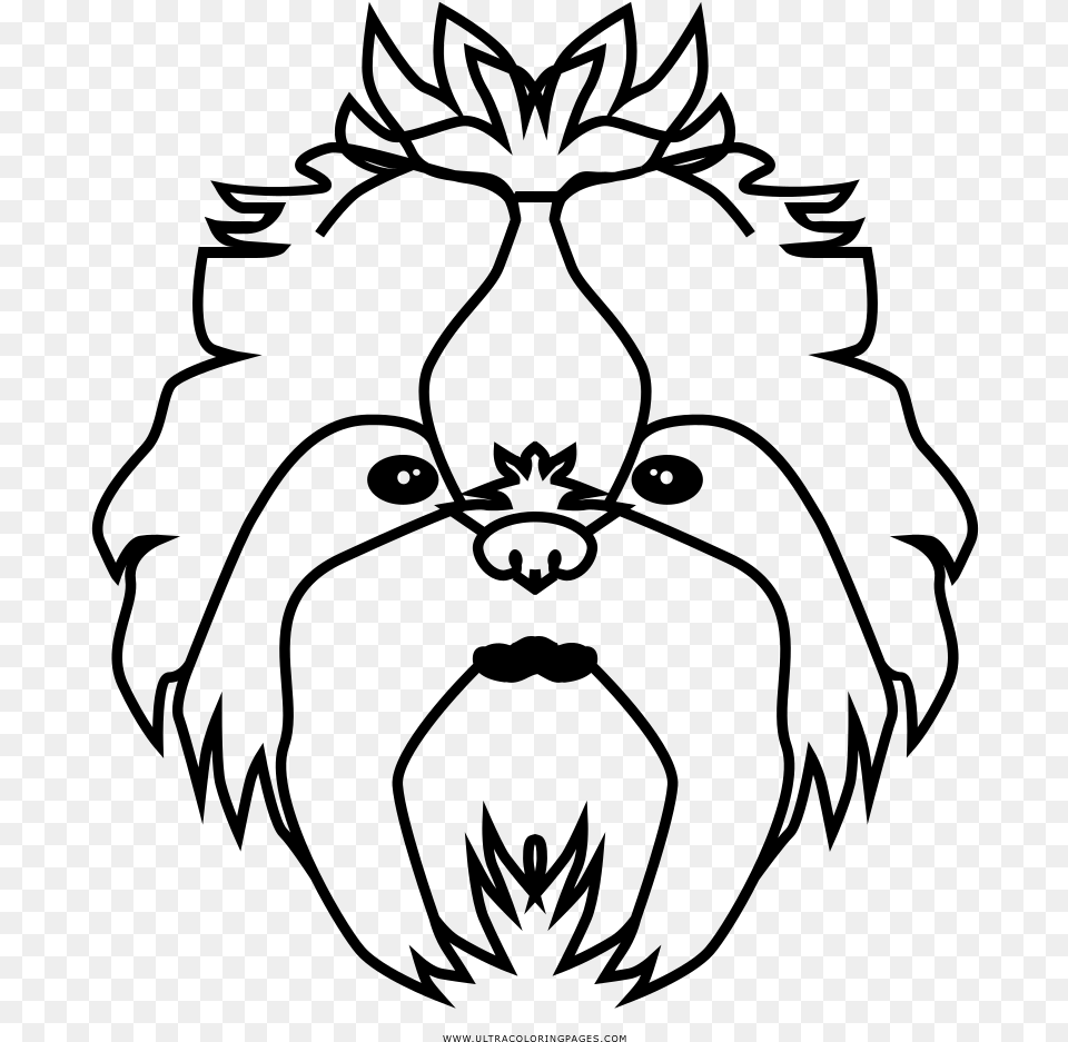 Shih Tzu Coloring, Gray Free Png