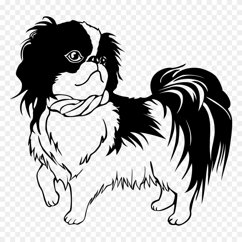 Shih Tzu Dog Clipart, Animal, Canine, Mammal, Pet Free Transparent Png
