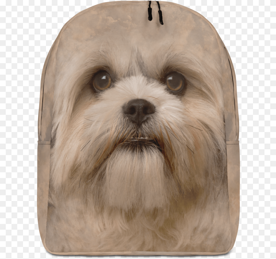 Shih Tzu Dog Minimalist Backpack Vulnerable Native Breeds, Animal, Canine, Mammal, Pet Free Png