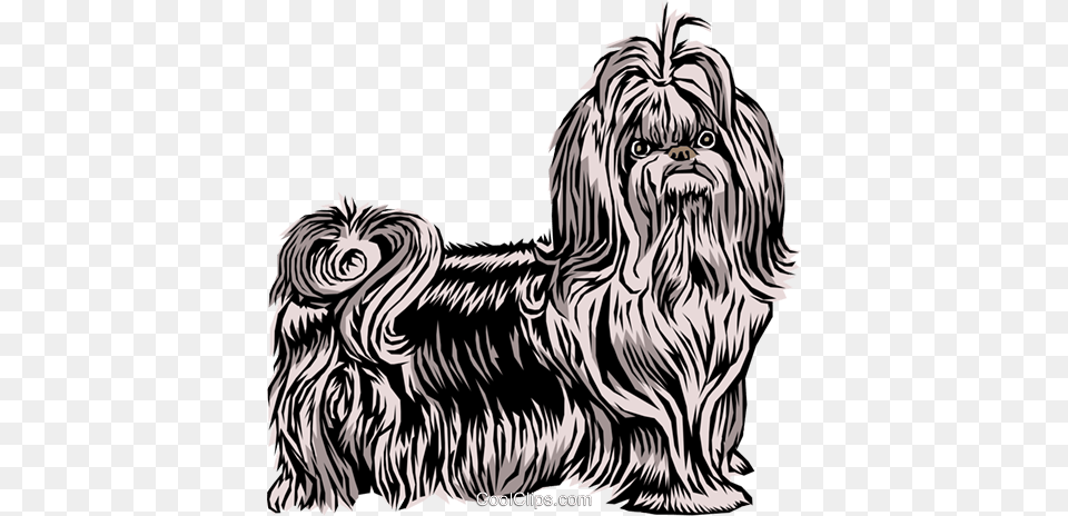 Shih Tzu Dog Royalty Free Vector Clip Art Illustration Shitzu Vector, Animal, Canine, Mammal, Pet Png Image