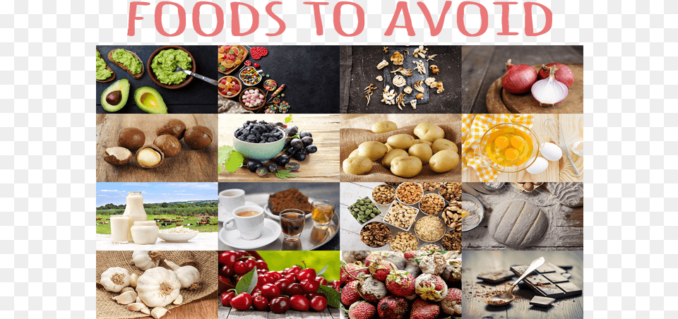 Shih Tzu Foods To Eat, Cup, Plant, Produce, Fruit Free Png Download