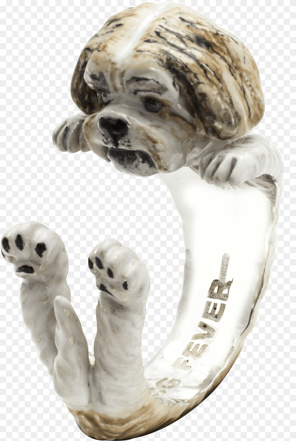 Shih Tzu Hug Ring, Adult, Male, Man, Person Png Image