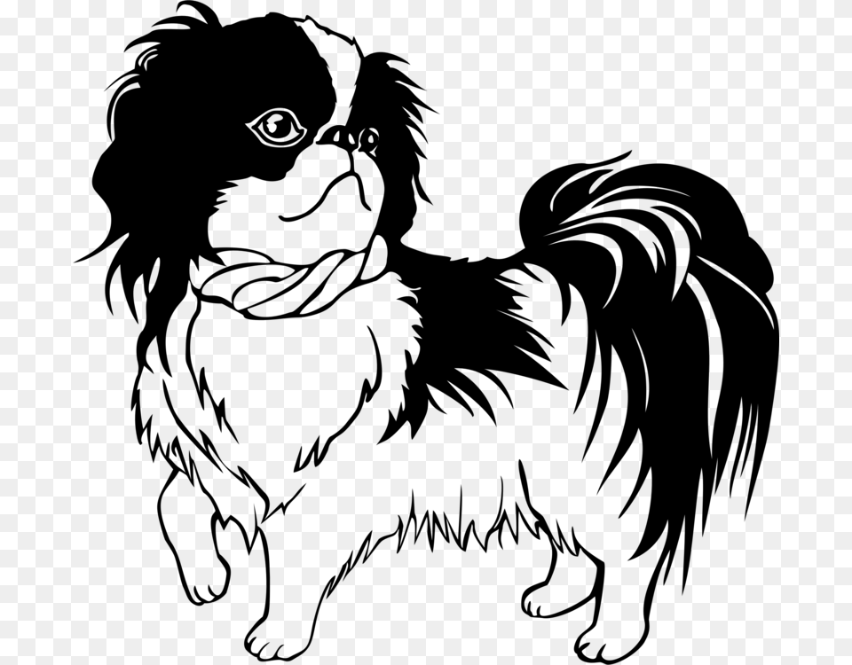 Shih Tzu Japanese Chin Puppy Line Art Drawing Dog Shih Tzu Clipart, Gray Png