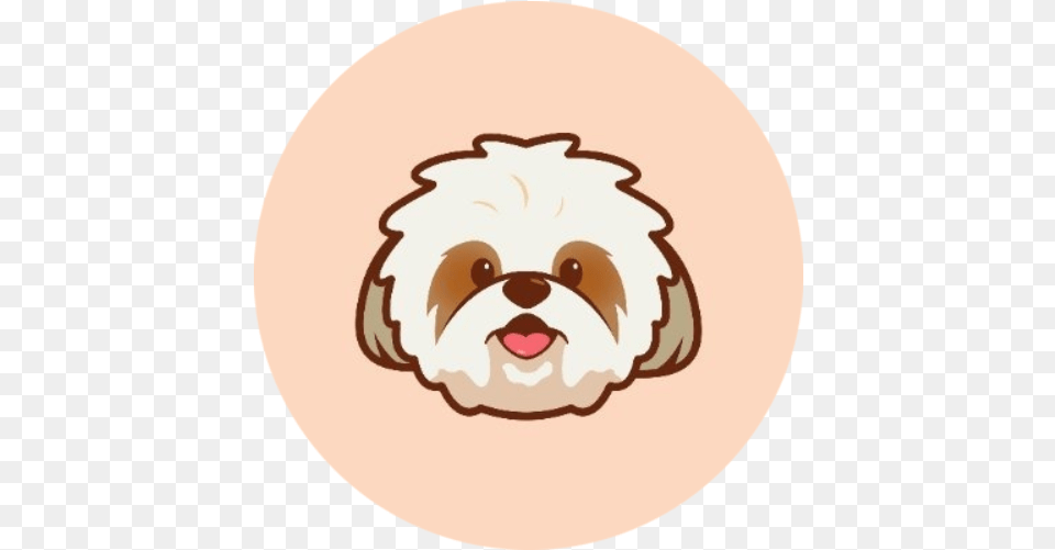 Shih Tzu Social Activity In Telegram Twitter Reddit Shih Tzu Crypto, Animal, Canine, Mammal, Pet Free Transparent Png