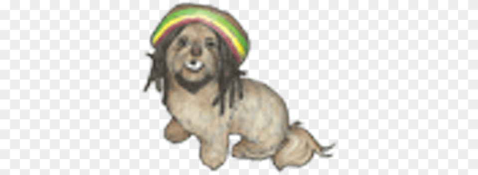 Shih Tzu Swag Toy Poodle, Animal, Canine, Dog, Mammal Free Transparent Png
