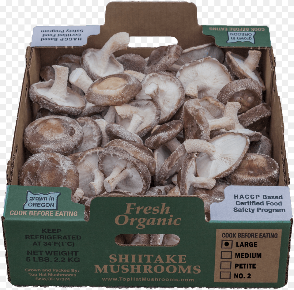 Shiitake, Fungus, Mushroom, Plant, Agaric Free Transparent Png