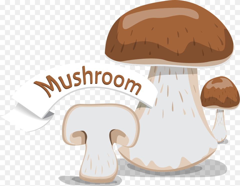 Shiitake, Fungus, Mushroom, Plant, Agaric Free Png