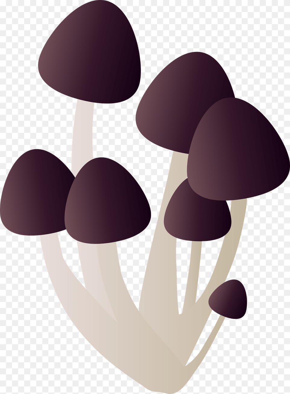 Shimeji Mushroom Clipart, Fungus, Plant, Agaric, Amanita Png