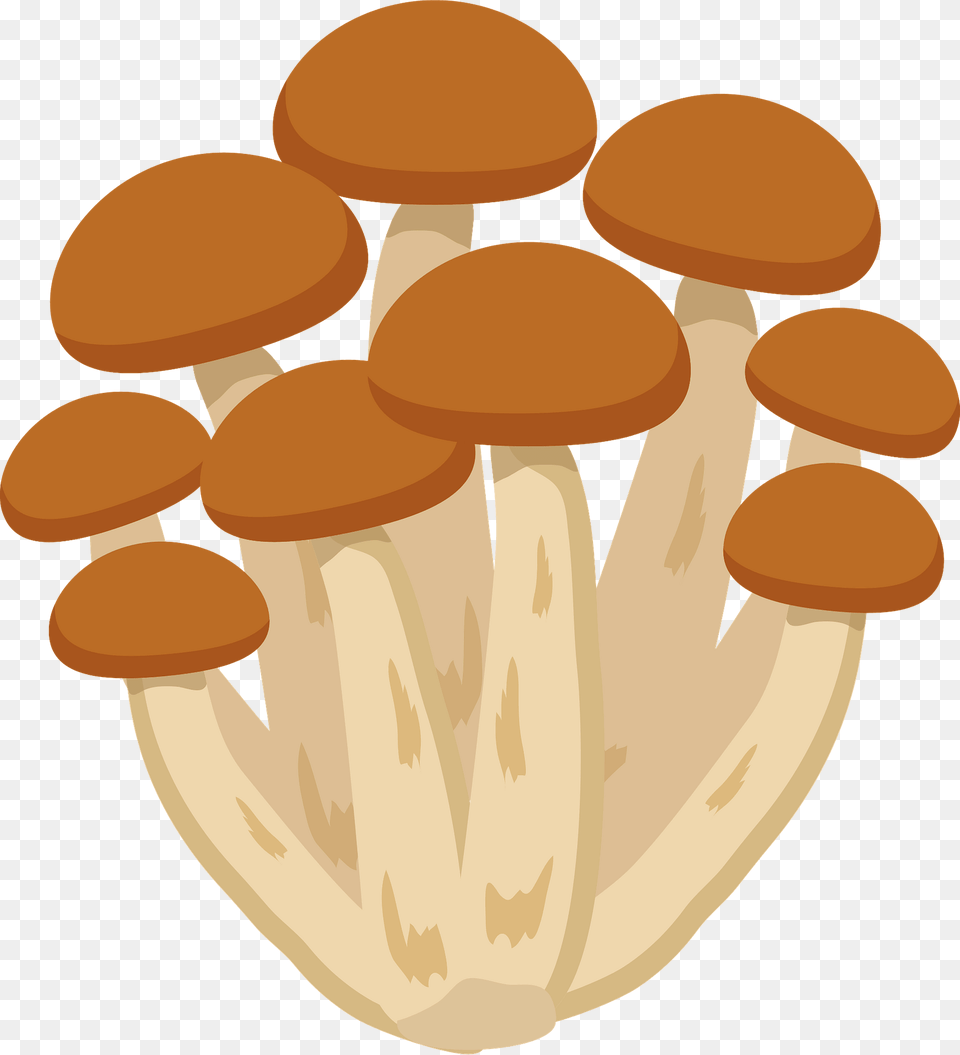 Shimeji Mushroom Clipart, Agaric, Fungus, Plant, Amanita Free Png