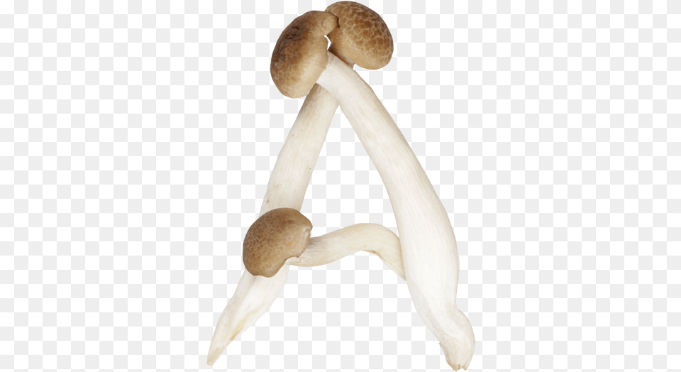 Shimeji Mushroom Font A Mushrooms Shaped Like Letters, Fungus, Plant, Agaric, Amanita Free Transparent Png