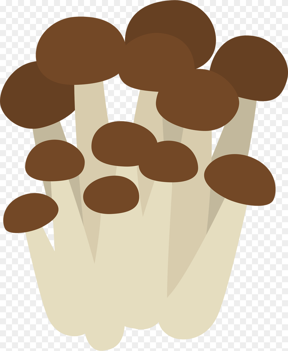 Shimeji Mushroom Food Clipart, Fungus, Plant, Agaric, Amanita Png Image