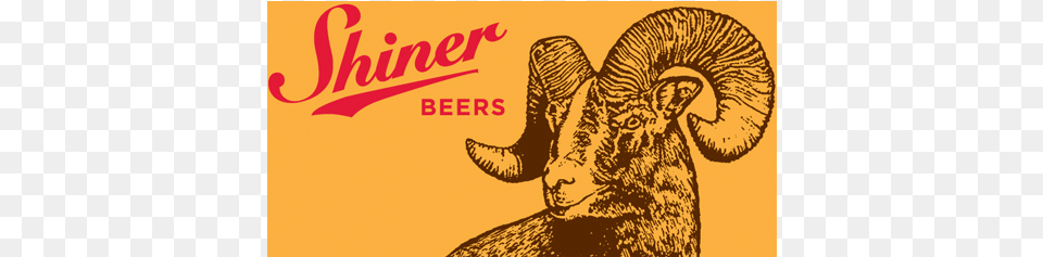 Shiner Beer, Person, Animal, Buffalo, Mammal Png Image