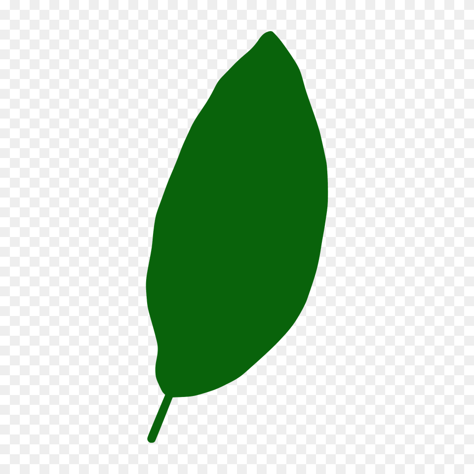 Shingle Oak Leaf Silhouette, Green, Plant, Food, Fruit Png