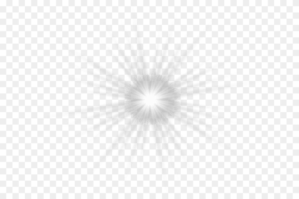 Shining Effect Circle, Flare, Light, Plant, Fireworks Png Image