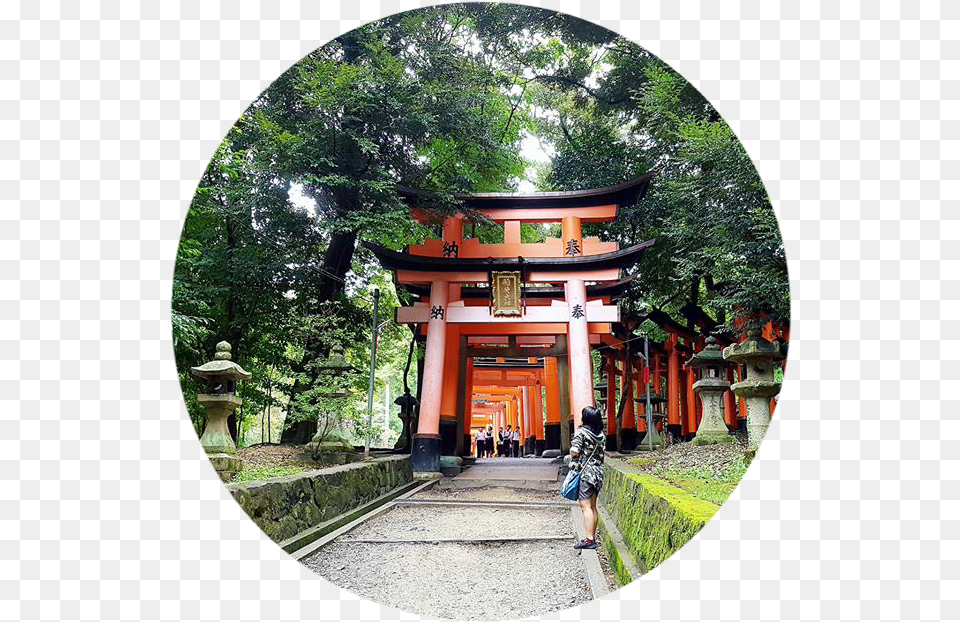 Shinto Shrine, Photography, Person, Vegetation, Plant Png