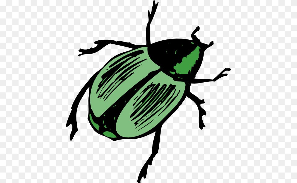 Shiny Green Beetle Clip Art, Animal, Dung Beetle, Insect, Invertebrate Free Transparent Png