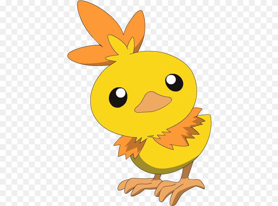 Shiny Torchic Ag Pokemon Shiny, Animal, Fish, Sea Life, Shark Png