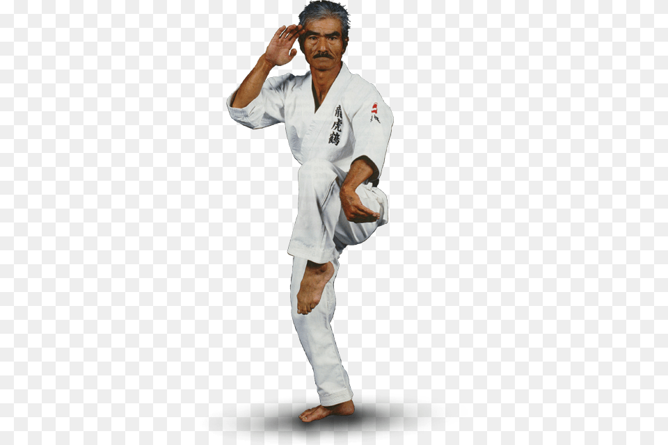 Shinyu Gushi Karate Gi Uechi Ryu, Martial Arts, Person, Sport, Adult Free Transparent Png