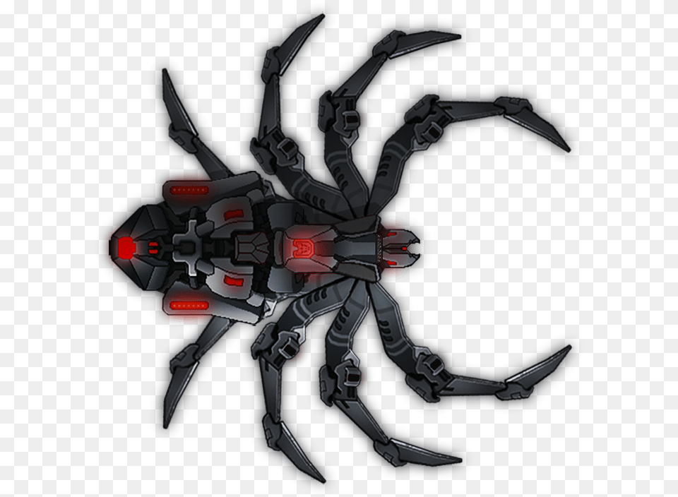 Shipae Spider Black Widow Black Widow Spider, Animal, Invertebrate, Person Free Transparent Png