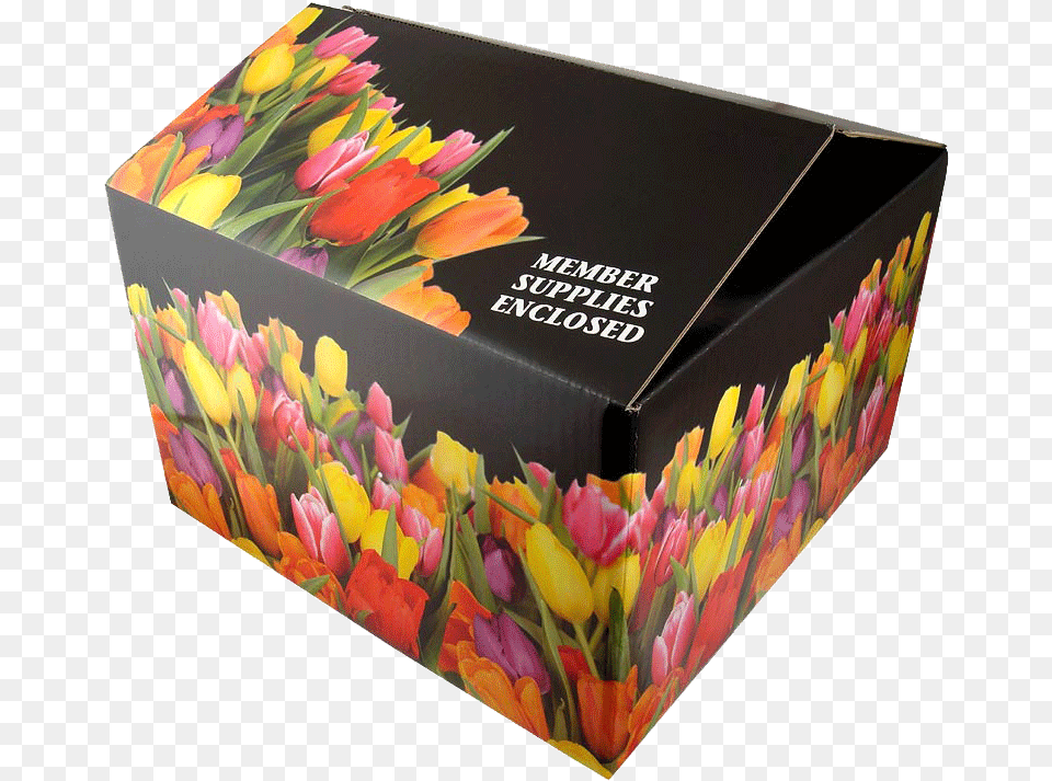 Shipping Box Full Color Shipping Box, Cardboard, Carton, Flower, Plant Png Image