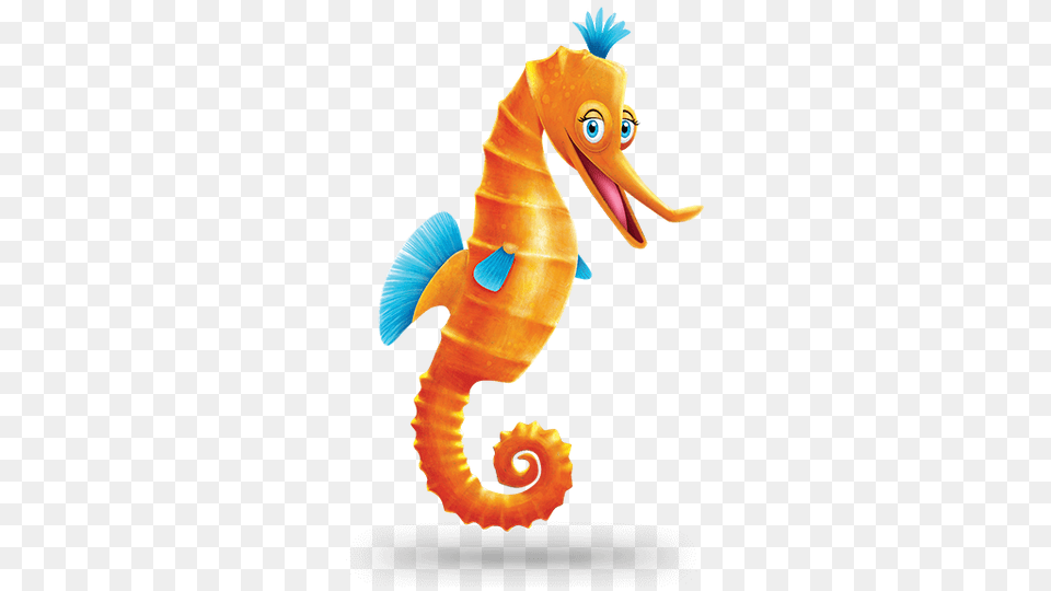 Shipwrecked, Animal, Sea Life, Mammal, Seahorse Free Transparent Png