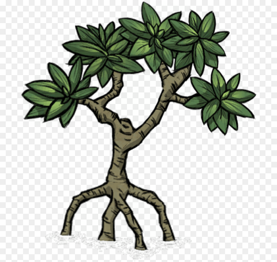 Shipwrecked Icon Mangrove Clipart, Vegetation, Green, Tree, Potted Plant Free Png Download