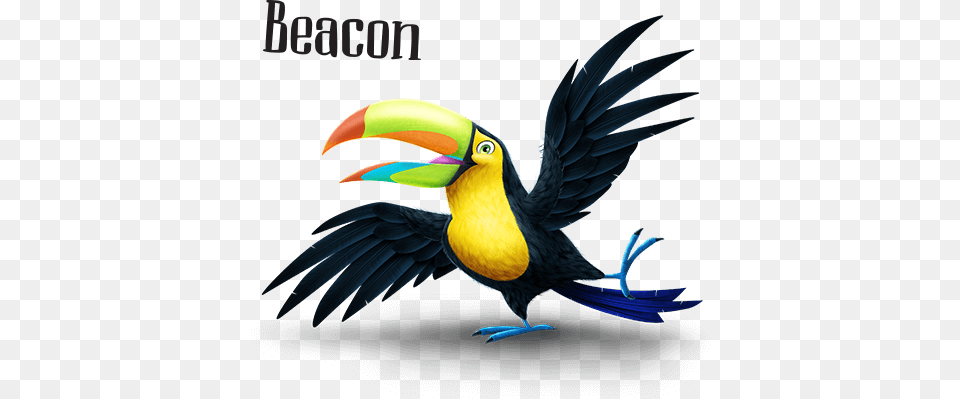 Shipwrecked Vbs Resources Downloads, Animal, Beak, Bird, Toucan Free Png