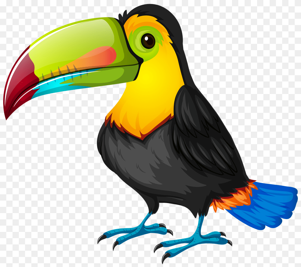 Shipwrecked Vbs Logo, Animal, Beak, Bird, Toucan Png Image