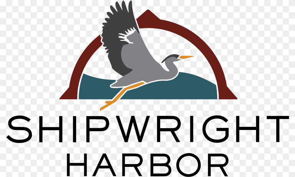 Shipwright Harbor Marina Water Bird, Animal, Beak, Waterfowl, Crane Bird Png