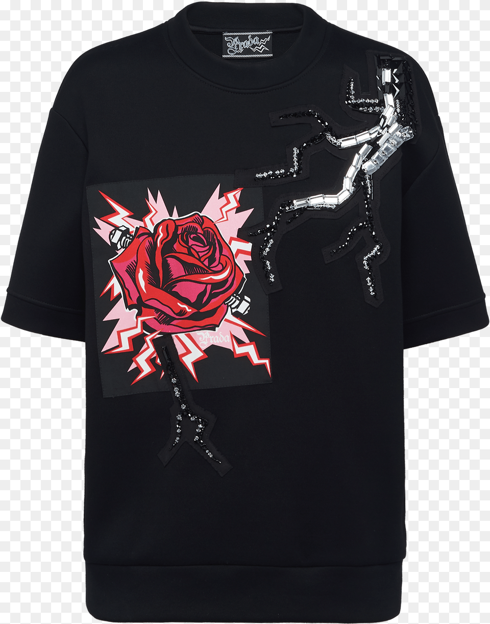 Shirt, Clothing, Flower, Plant, Rose Png Image