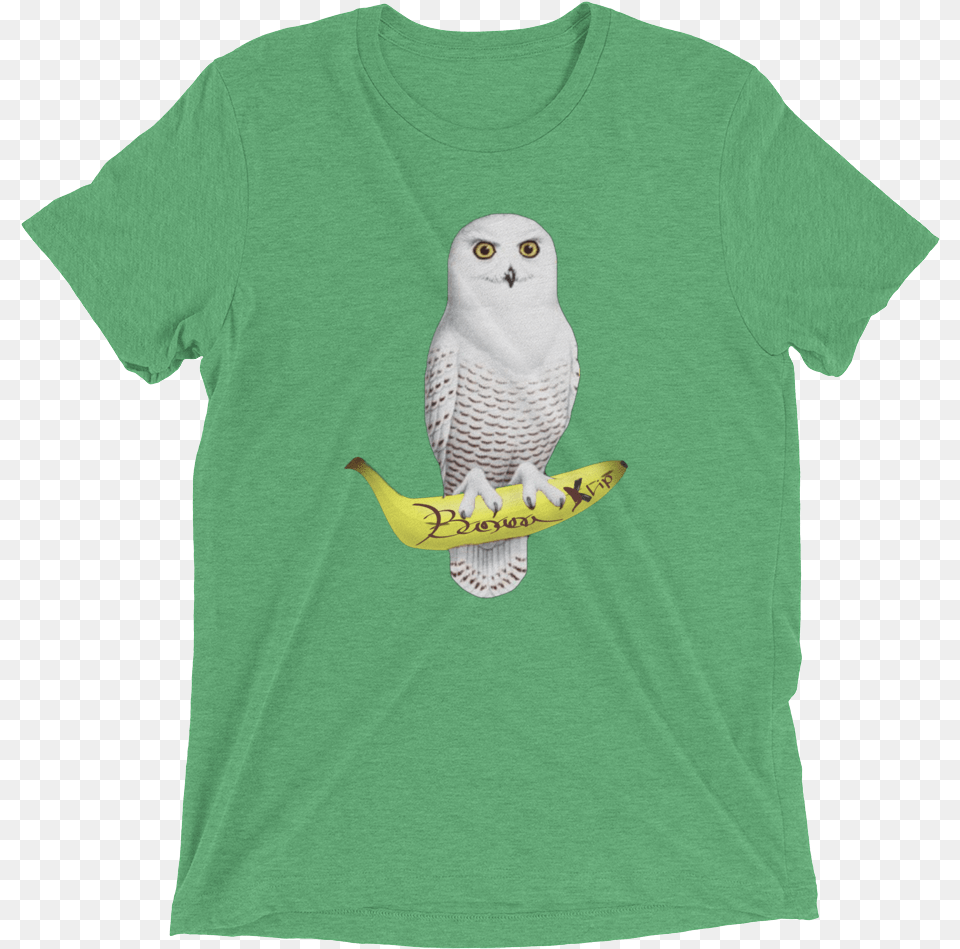 Shirt, Clothing, T-shirt, Animal, Bird Free Transparent Png