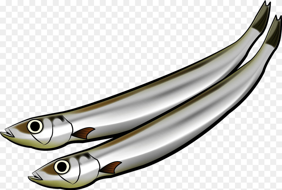 Shishamo Fish Clipart, Animal, Herring, Sea Life, Sardine Png Image
