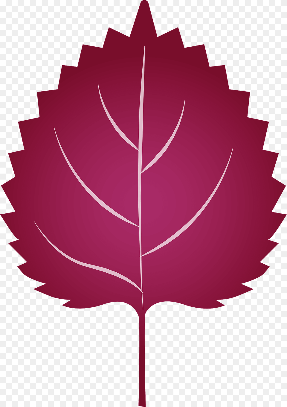 Shiso Clipart, Leaf, Plant, Maple Leaf, Tree Free Png