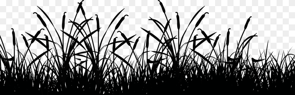 Shit Man I Don39t Know Grass, Nature, Night, Outdoors Free Png Download