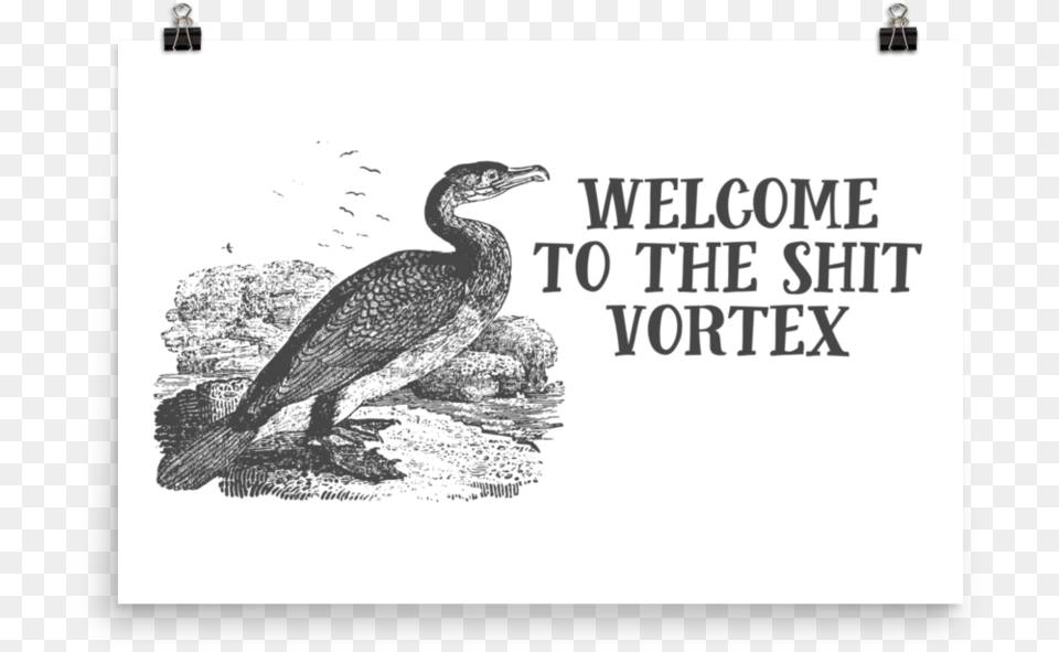 Shit Vortexsrcset Data Effin Birds Welcome To The Shit Vortex, Animal, Bird, Cormorant, Waterfowl Free Png