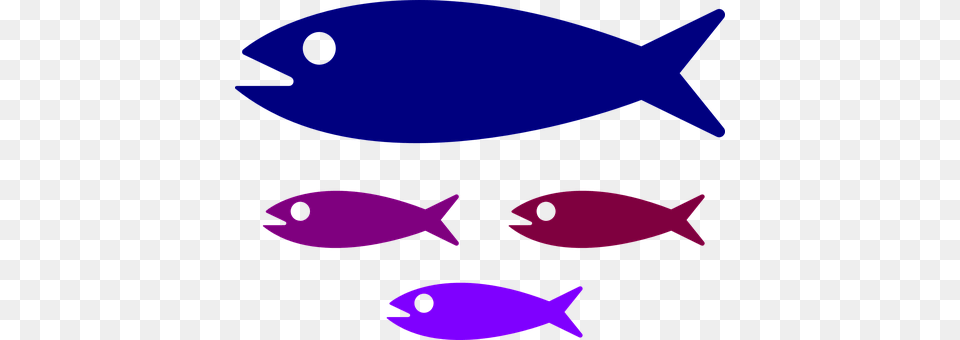 Shoal Animal, Fish, Sea Life, Tuna Png