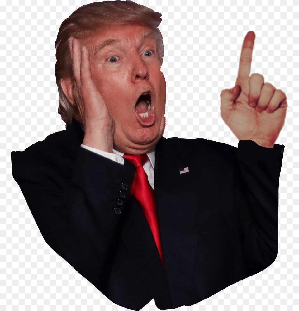 Shocked Donald Trump, Hand, Head, Man, Person Free Png