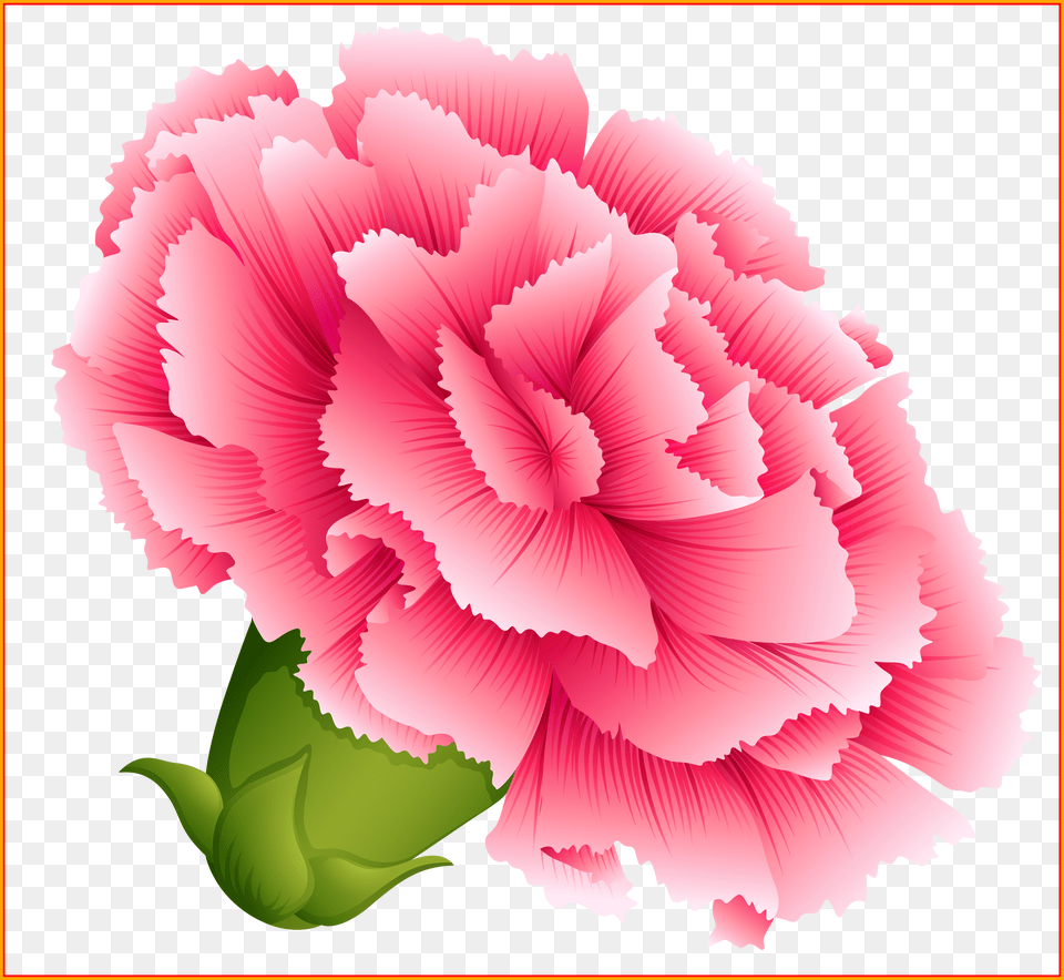Shocking Best Carnation For Flower Clipart Inspiration Carnation Clipart Free Png