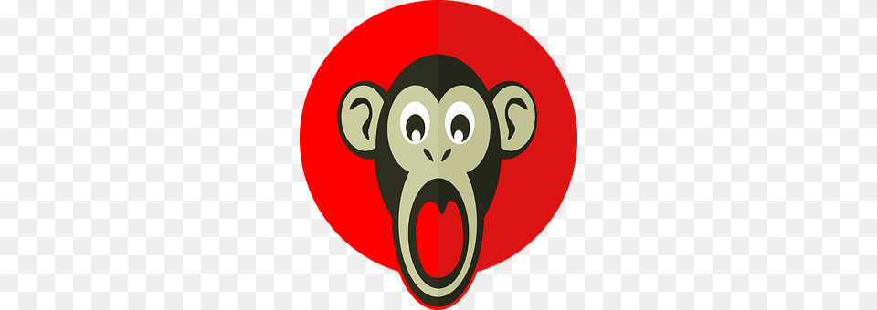 Shocking Monkey Animal, Mammal, Snout, Wildlife Free Transparent Png